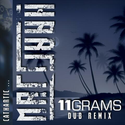 CATHARTIC (11GRAMS Remix) album art