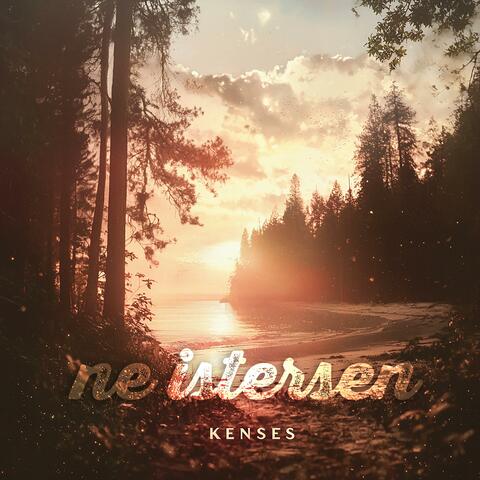 Ne istersen (feat. KENDESIGN) album art