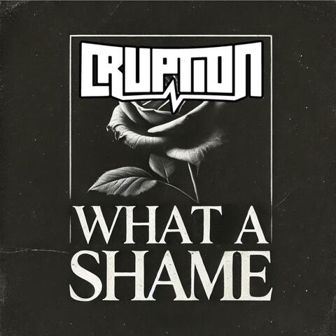 What A Shame album art