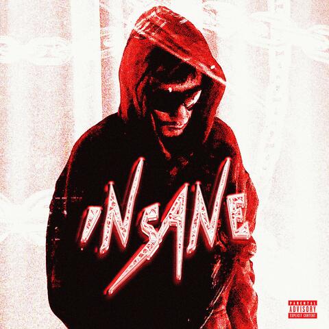 INSANE album art