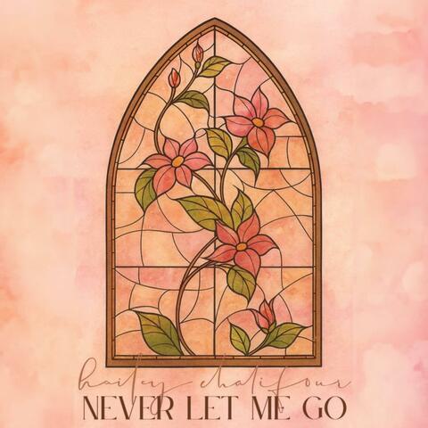Never Let Me Go album art