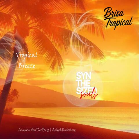 Brisa Tropical | Tropical Breeze album art