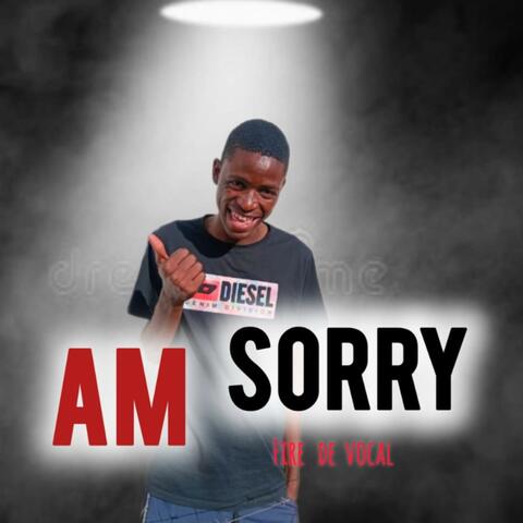 Am sorry (feat. Cape Town) album art