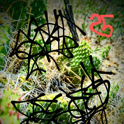 Cactus Needles album art