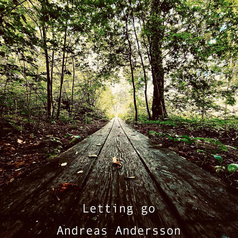 Letting go album art