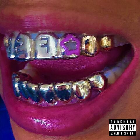 FSH FÚD album art