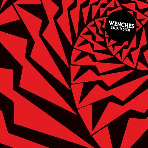 Stupid Sick album art
