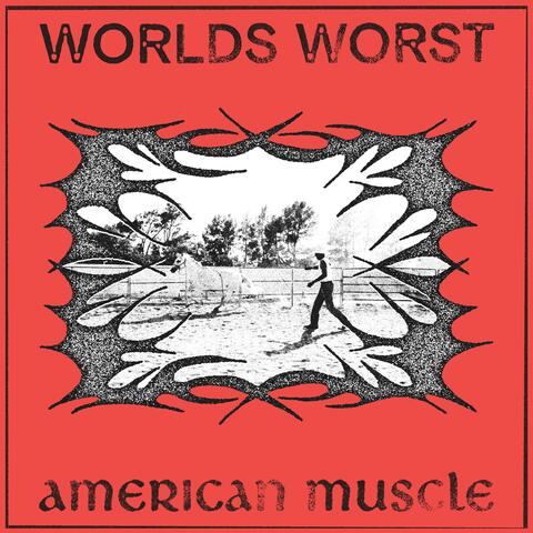 American Muscle album art