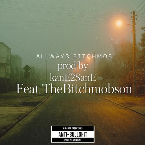 Allways bitch mob (feat. TheBitchmobson) album art
