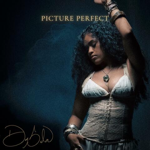 Picture Perfect album art