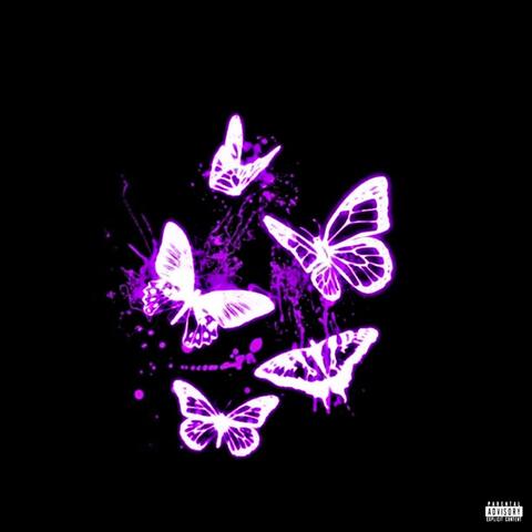 Butterfly album art