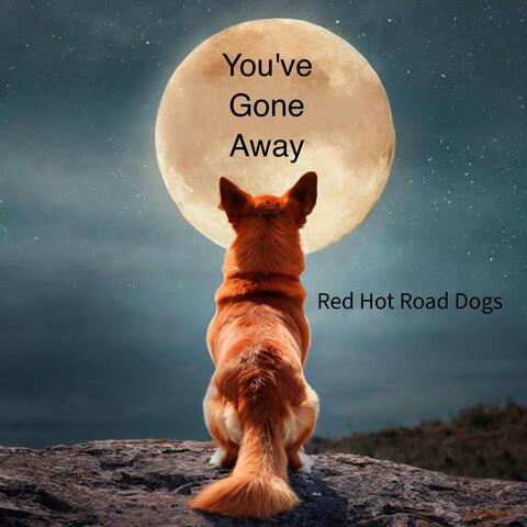 You've Gone Away album art