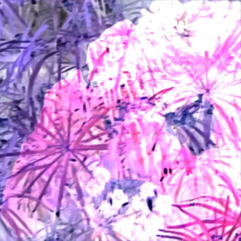 hurt album art