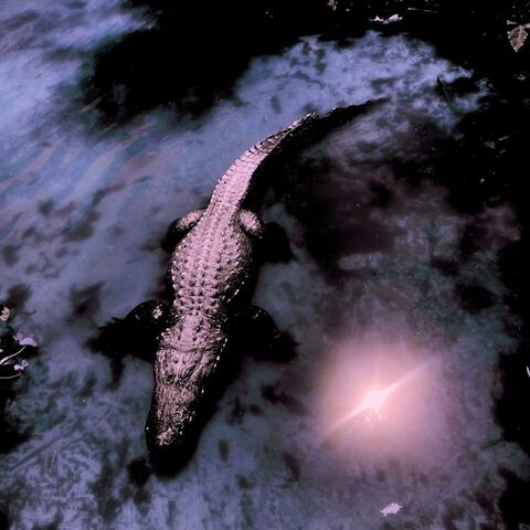 The Great River album art