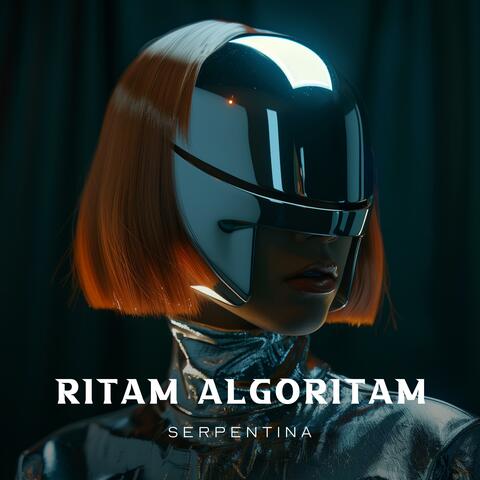 RITAM ALGORITAM album art