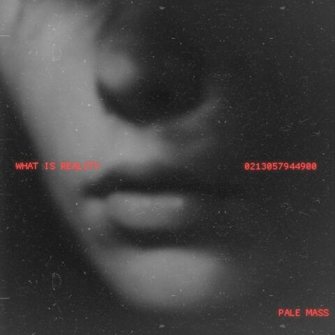 What is Reality (feat. Pale Mass) album art