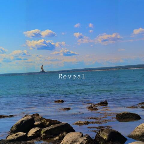 Reveal album art