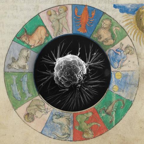 Double Growth album art