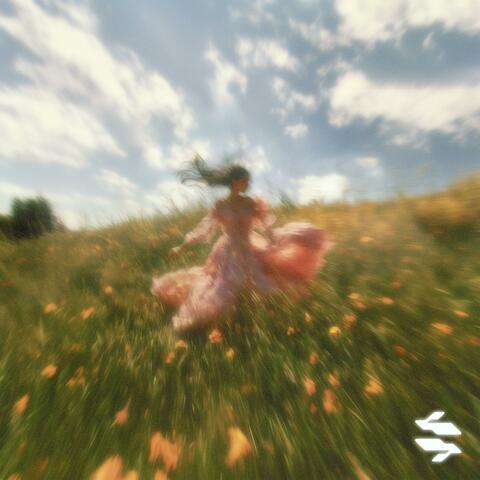 Endless Summer album art