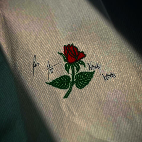 For the Newly weds album art