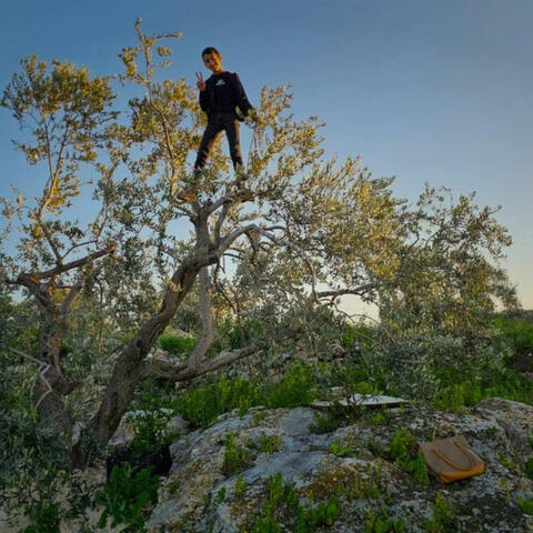 Welcome to Palestine album art