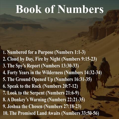 Book of Numbers album art