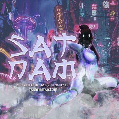 Gratitude album art