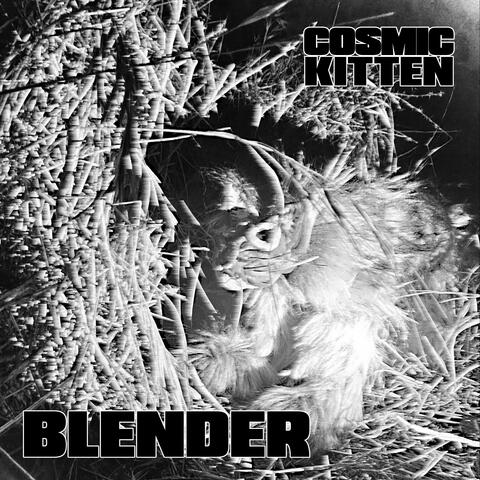 Blender album art