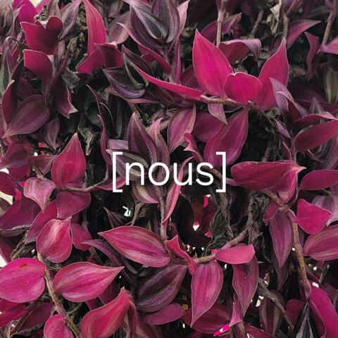 nous album art