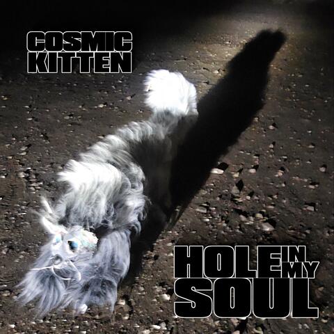 Hole in my Soul album art