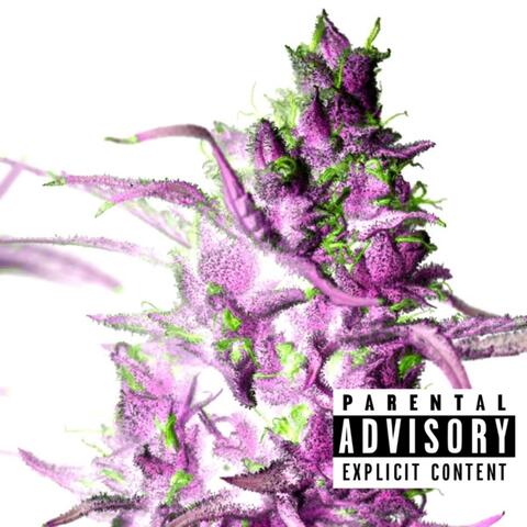 Super kush! 2 album art