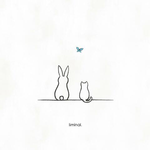 liminal. album art
