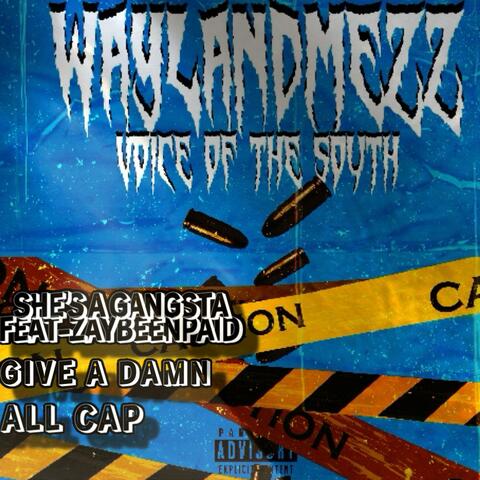 VOICE OF THE SOUTH album art