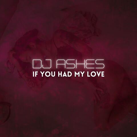 If You Had My Love album art