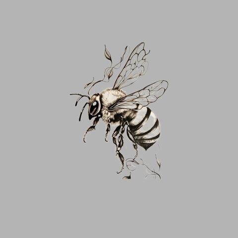 MANO KIEMAS album art