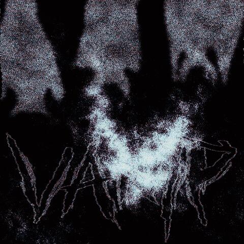 VAMP album art