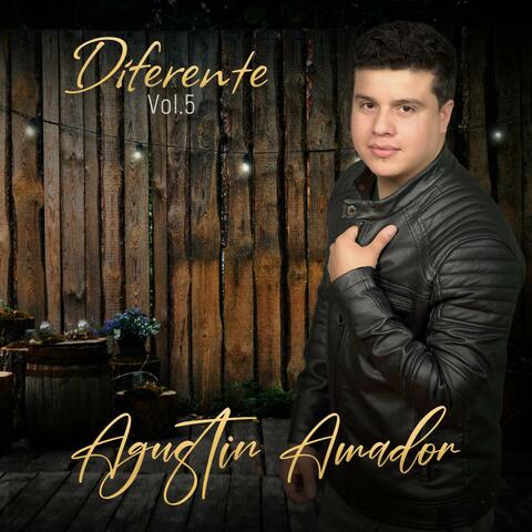 Diferente, Vol. 5 (feat. Nery Amador) album art
