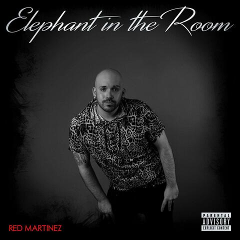 Elephant in the Room album art