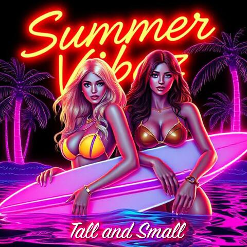Summer Vibez, Vol. 2 album art