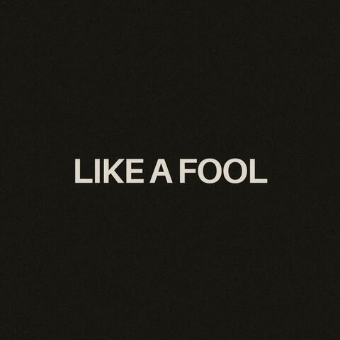 Like a Fool album art