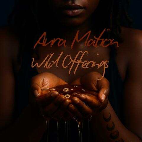 Wild Offerings album art