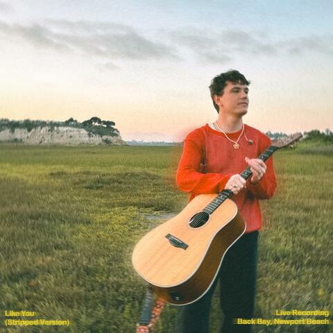 Like You (Live Stripped Version) album art