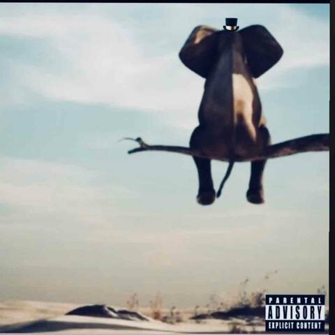 Blossum album art