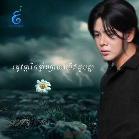 រដូវផ្ការីកឆ្នាំក្រោយយេីងជួបគ្នា album art