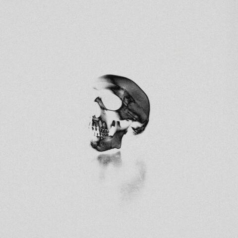 Null Swarm album art