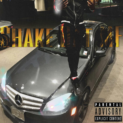 Shake Dat Mf album art
