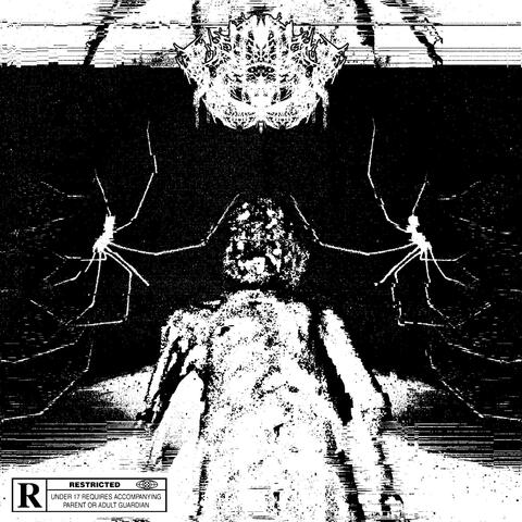 HUMAN RUINS album art