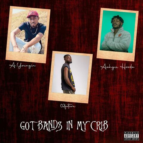 Got Bands In My Crib (feat. Aahgee Hooda & O2future) album art
