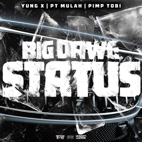 Big Dawg Status (feat. P.T. MULAH & Pimp Tobi) album art