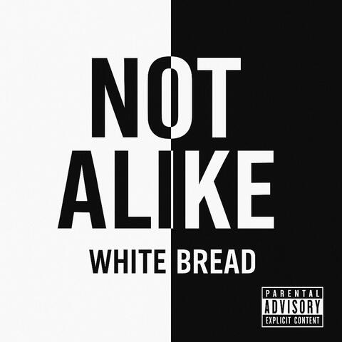 Not Alike album art